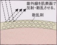 日焼け止めの散乱剤と吸収剤について