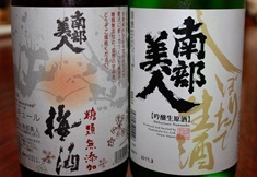 nanbubijin