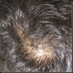 head1