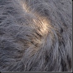 head2