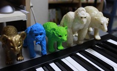 newanimal